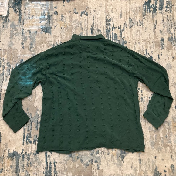C01 Chiffon Button Up Shirt Swiss Polka Dot Top Dark Green Long Sleeve Sz 2XL - Picture 6 of 9